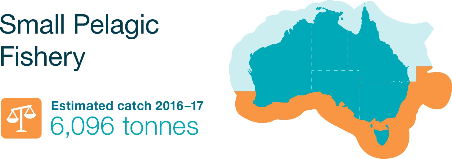 Small Pelagic Fishery