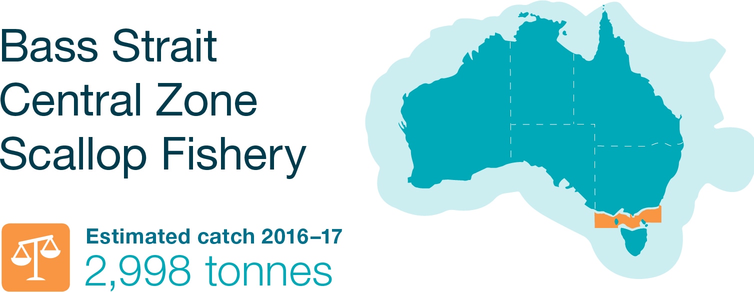 Bass Strait Central Zone Scallop Fishery