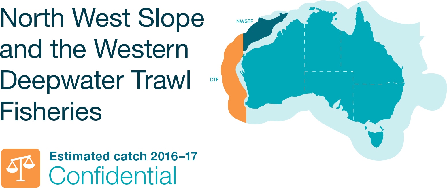 North West Slope and the Western Deepwater Trawl Fisheries