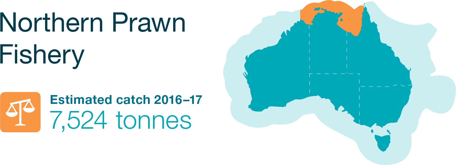 Northern Prawn Fishery
