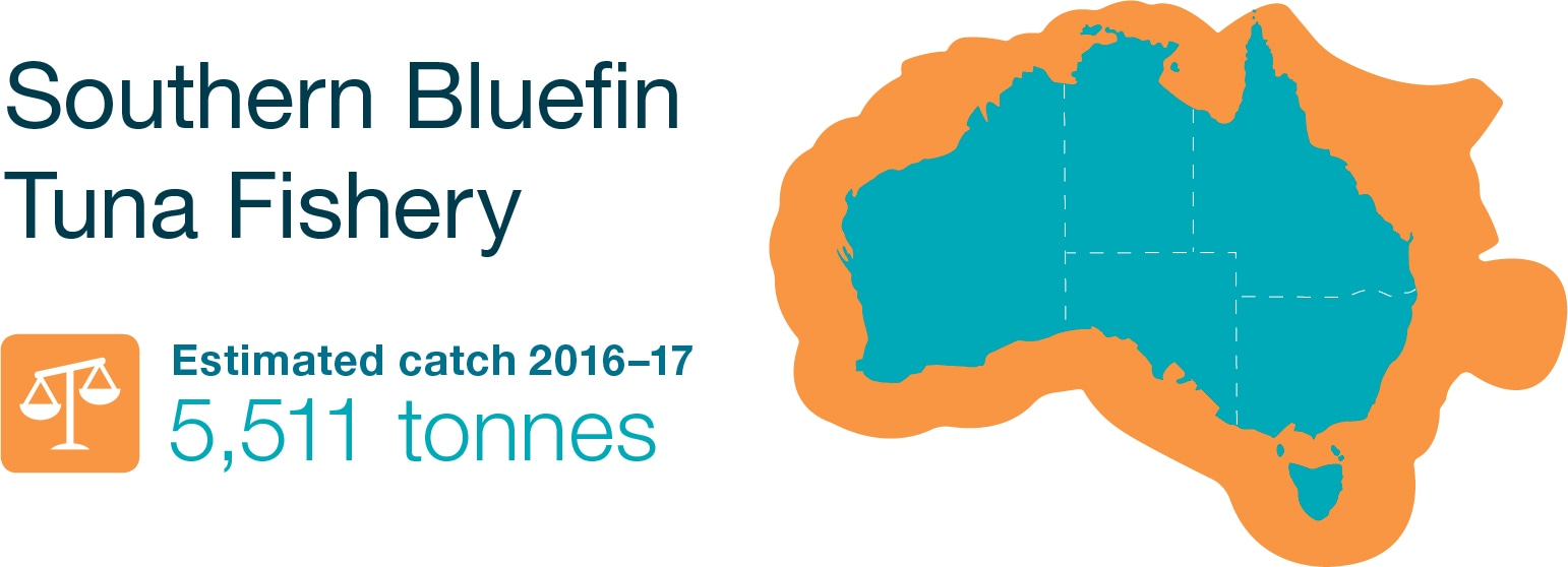 Southern Bluefin Tuna Fishery