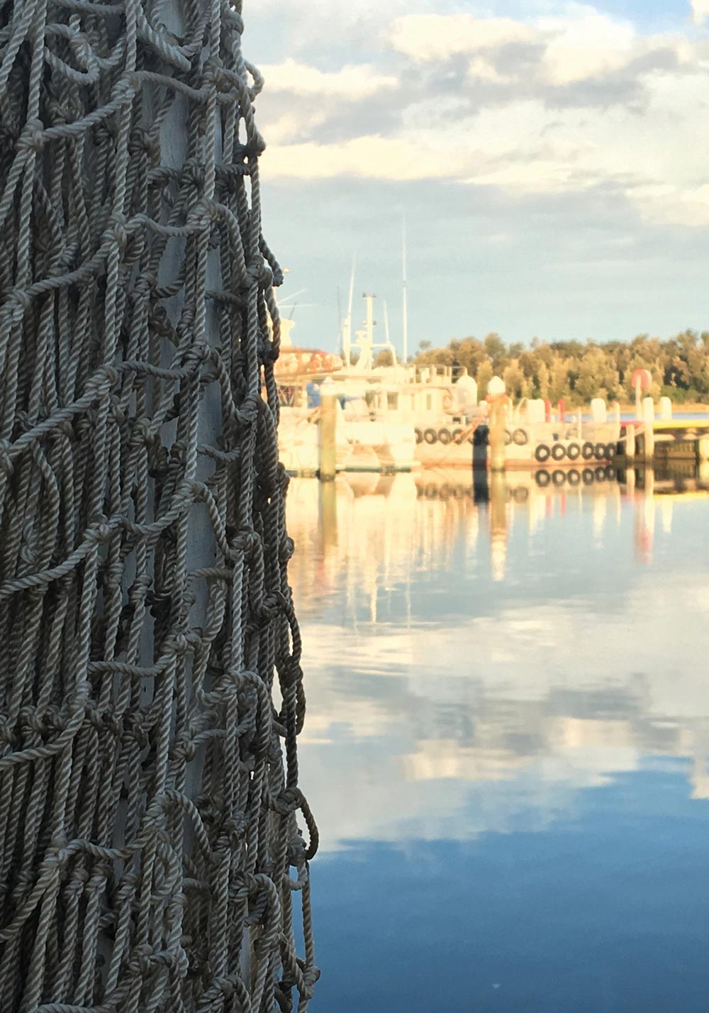 Figure-14--Trawl-net,-Lakes-Entrance-