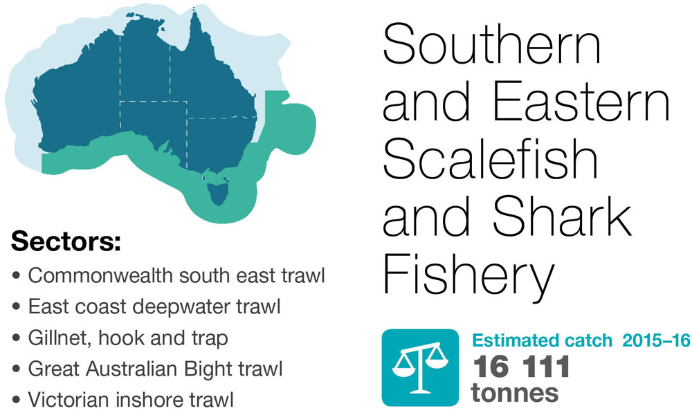 Sourthern-and-Eastern-Scalefish-and-Shark-Fishery