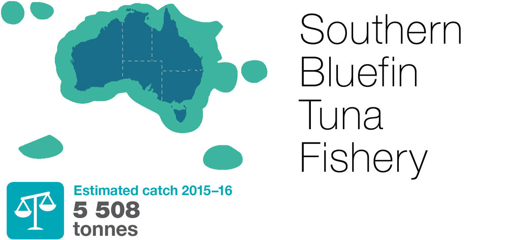 Southern-Bluefin-Tuna-Fishery