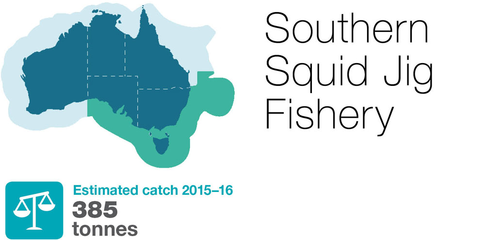 Southern-Squid-Jig-Fishery
