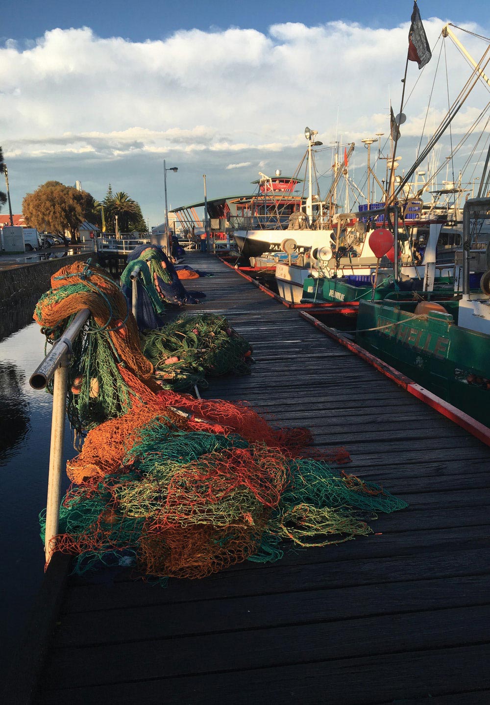 figure-1-danish-seine-nets-and-boats-likes-enterance
