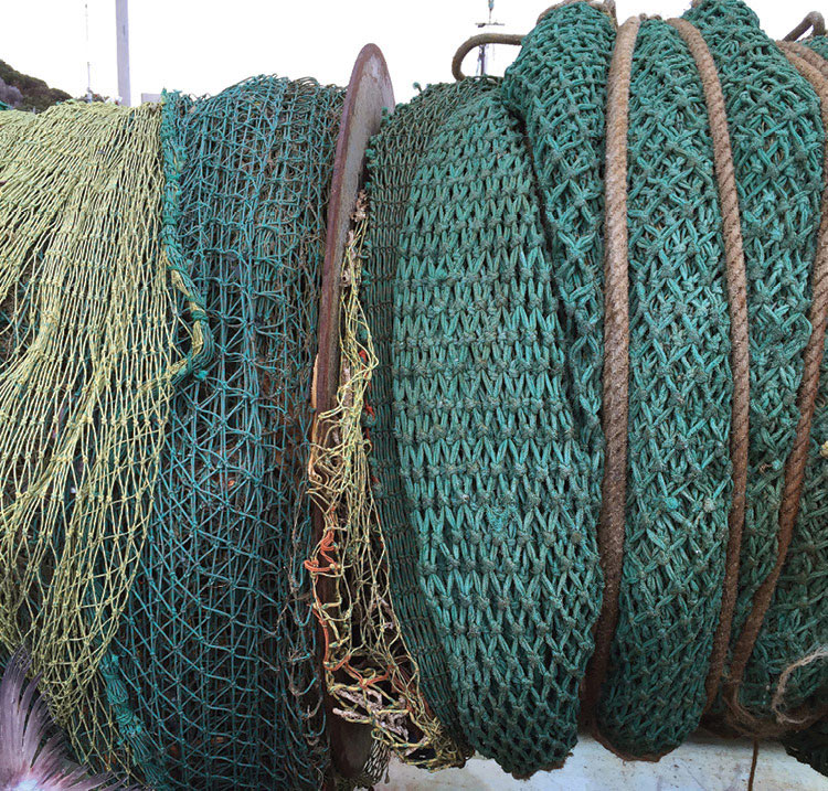 figure-33-Trawl-net