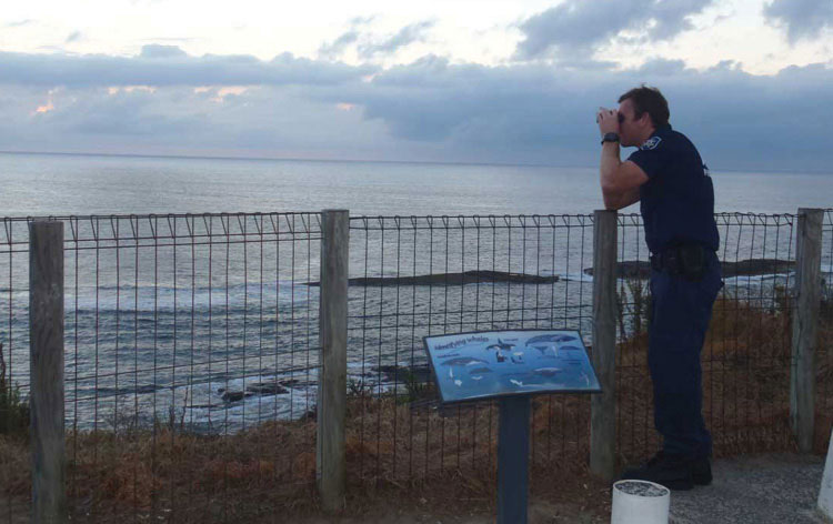 Figure 7: AFMA domestic compliance officer