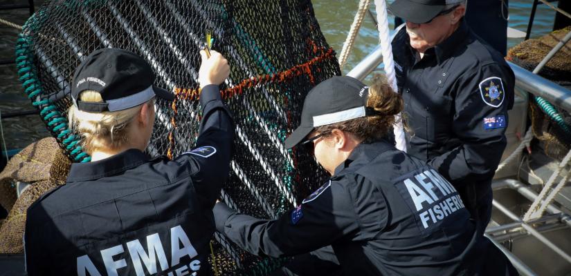 Three AFMA Compliance Officers inspect a fishing net