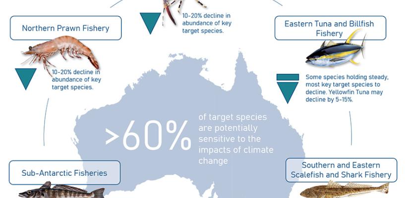 Image of climate change footprint in Commonwealth fisheries 2020–2040