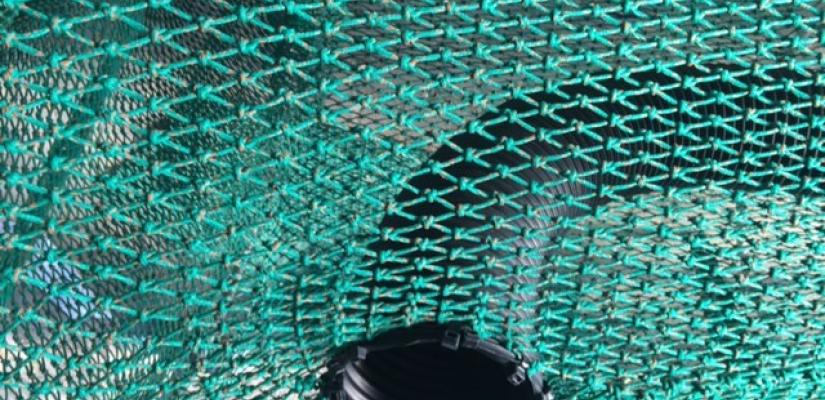 Bycatch reduction device tude (Image courtesy of NPFI)