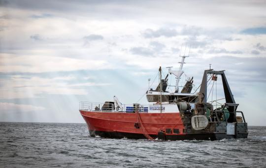 Services for fishers