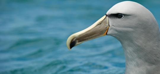 Environment and research