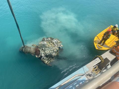 Image of Torres Strait ghost net December 2022