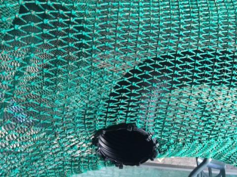 Bycatch reduction device tude (Image courtesy of NPFI)