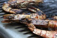 Close up of prawns grilled on BBQ