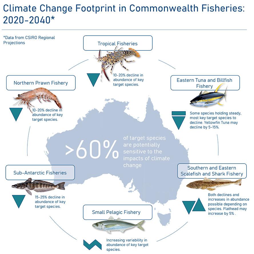 Image of climate change footprint in Commonwealth fisheries 2020–2040