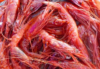 A bunch of royal red prawns